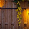Tuinspot Juno Tube