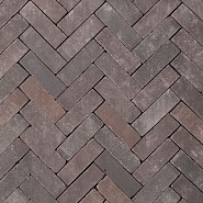 Gebakken dikformaat Uithuizen 200x65x60 getrommeld op aanvraag