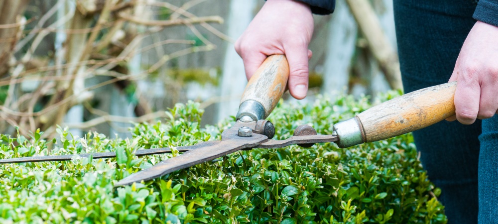 Bart Poppelaars Tuinmaterialen