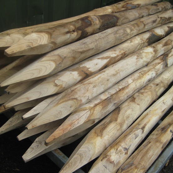 Kastanjehouten Palen Gepunt/Geschild 180 cm