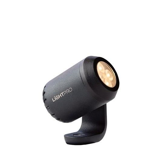 Tuinspot Juno 4