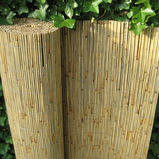 Rietmat Ferto 60X600