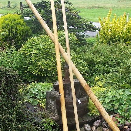 Bamboepalen voor decoratie 4/5x240 cm